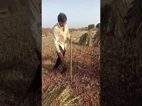 Ideas in agriculture