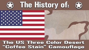 The History of The US Military