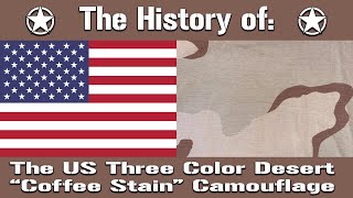 The History of The US Military's Three Color Desert Camouflage Pattern | Uniform History screenshot 5