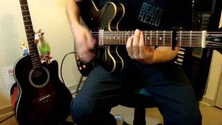 Cassia Eller / O Segundo Sol / Guitar Cover
