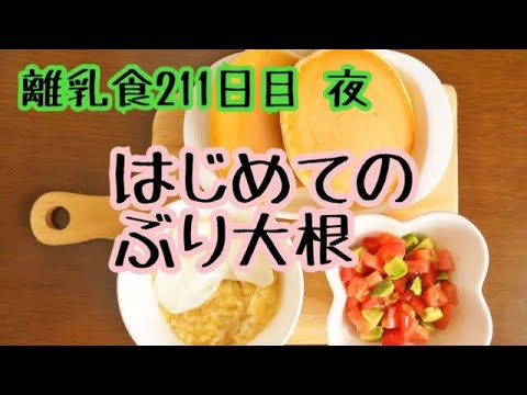 離乳食 完了期 作り方 ぶり大根 めっちゃ食べた 1歳赤ちゃん Youtube