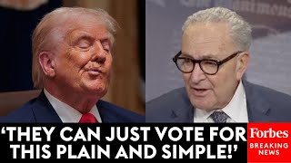 Chuck Schumer Lays Out How Trump Is 'The Only Way To Solve The Problem' In Healthcare Negotiations