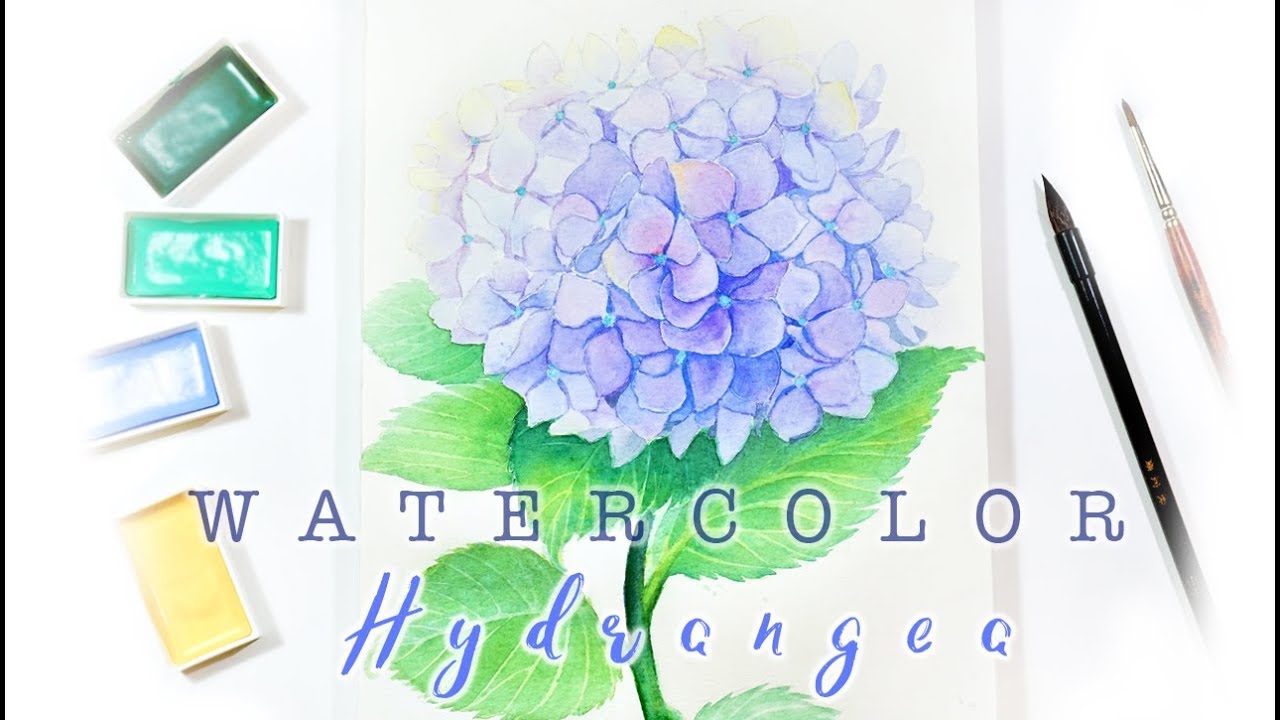 Watercolor Violet Hydrangea Flower Painting How To Draw A Hydrangea In Watercolour 水彩紫陽花手繪繡球花 Youtube