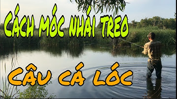 Cách móc nhái câu cá lóc không xoay