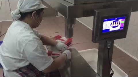 semi automatic 4heads linear weigher+Z type material conveyer