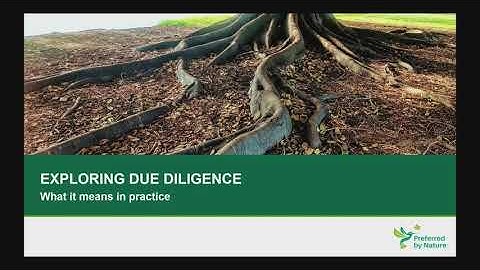 EUTR Webinar Belgium February 2021- Exploring Due Diligence, what does it mean in practice (English)