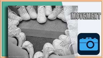 Principles of Art: MOVEMENT in Photography