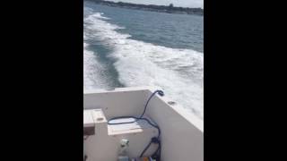 Yamaha 0X66 225 hp high rpm resonating sound