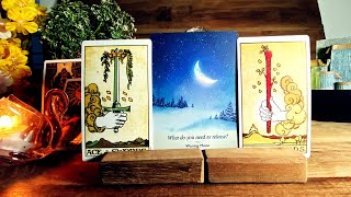 Leo 🍀TWO ACES TODAY…UNBELIEVABLE MIRACLES ON IT’S WAY…BE READY !!! ♌️Money Tarot