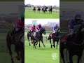 RUBERTUS wins the first Work Riders Race around the turn at Hollywoodbets Kenilworth #shorts