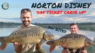 NORTON DISNEY DAY TICKET - BILLY'S LAKE || EMBRYO ANGLING || CARP FISHING 2022