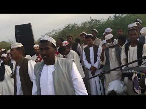 الفنان مبارك النور والابداع حفله روعة