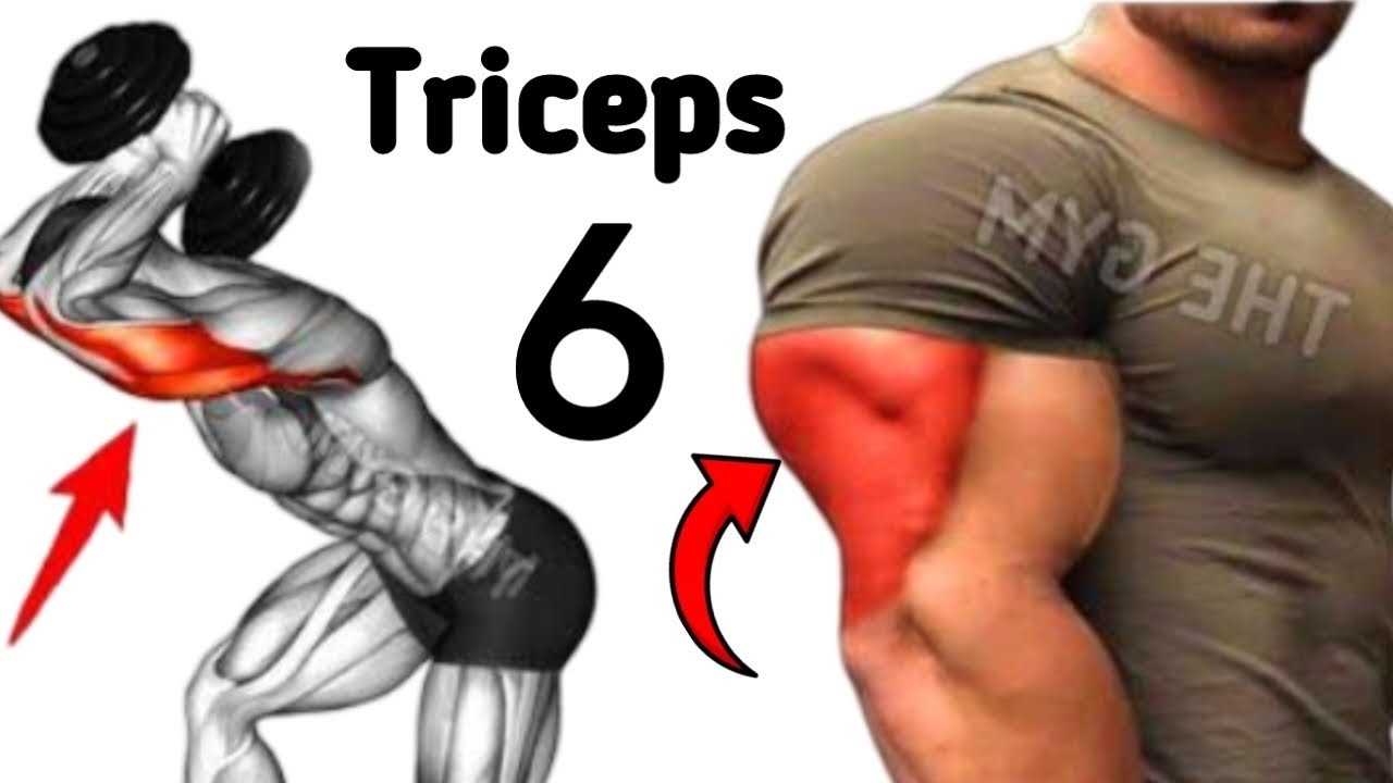 6 workout to get big triceps exercises || My The Gym || - YouTube