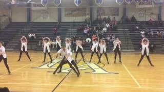 St.amant gatorettes dance team 2016