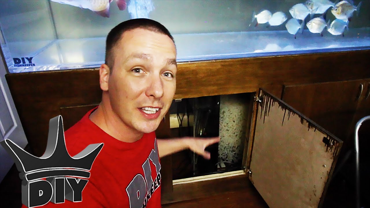 How to cool your aquarium in the summer!