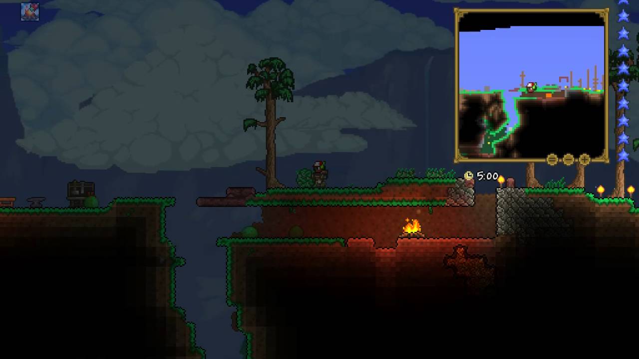 Террария крюк кошка