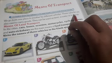 evs ch 21 means of transport
