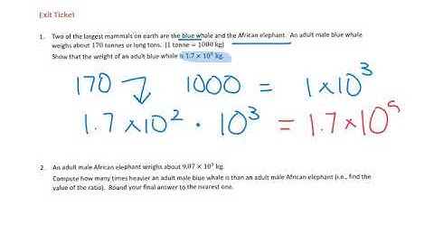 STS Math 8.1.11 Scientific Notation Word Problems