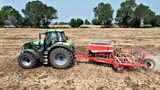 Sorgo E Soia Gioie E Dolori Di 2 Raccolto