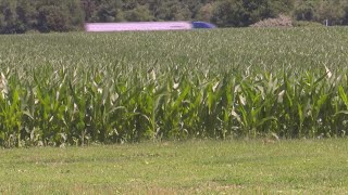 Central Illinois declares a drought