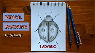 LADYBUG PENCIL DRAWING | Easy Drawing & Shading For Beginners | Black & White | Draw With Me