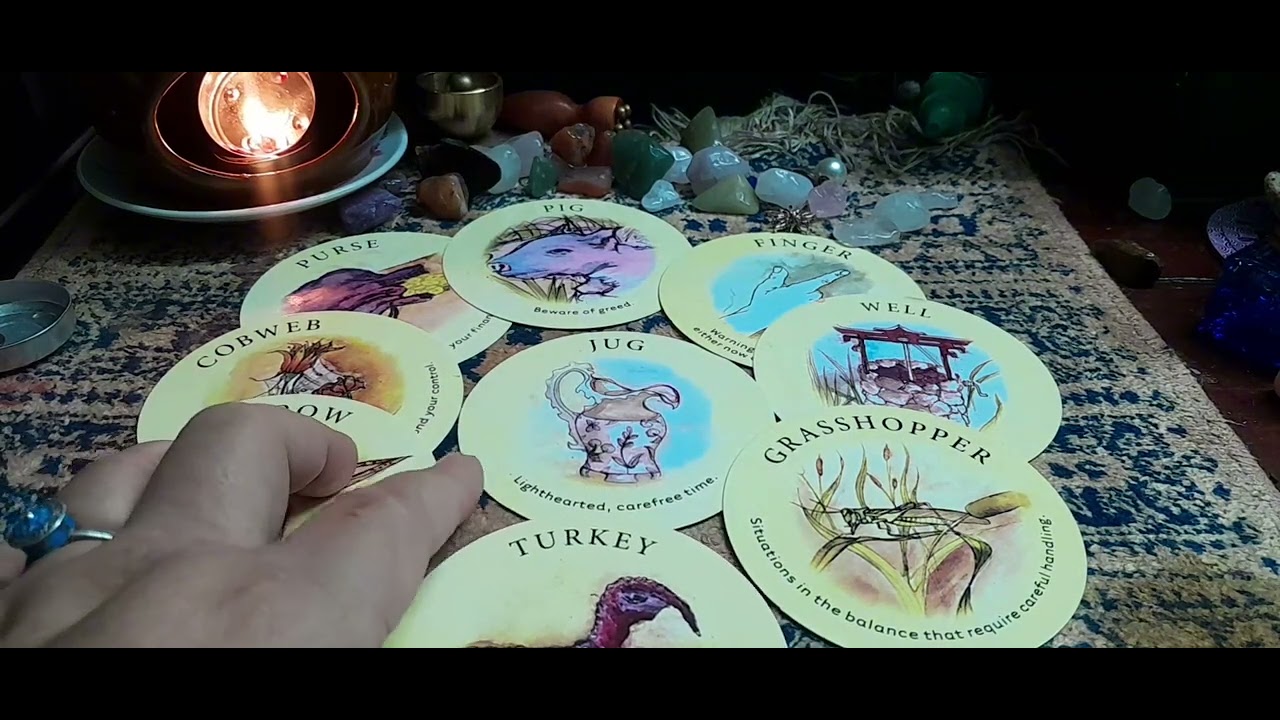 Bài trà : 7 ngày tới bạn có gì.