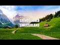 Switzerland Grindelwald Landscapes | Paisajes hermosos de Suiza