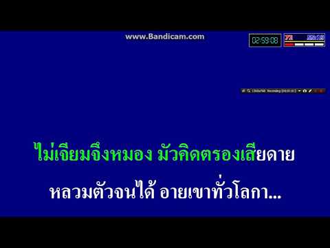 เผลอใจ สุเทพ วงศ์กำแหง