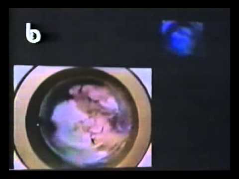 بخصوص الكرامة و الشعب العنيد نشرة الأخبار