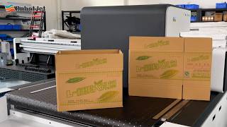 Packaging Box Digital Printing Equipment Epson Head Mass Production Use