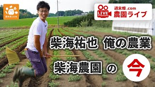 【農園ライブ】冬の農園 有機のキャベツ栽培 品種と栽培時期　虫の対策とポイントなど