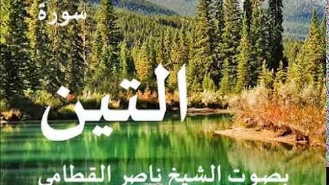 سورة التين بصوت الشيخ / ناصر القطامي 95