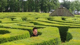 Freddie Mercury Runs Around In A Hedge Maze and Gets Lost (ASMR)
