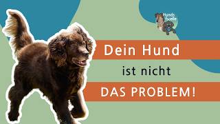 Nicht jeder HUND muss da durch – Grenzen im Hundetraining erkennen