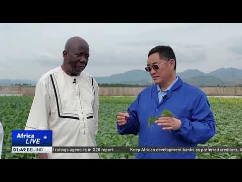 African scientists partner with China to boost food security