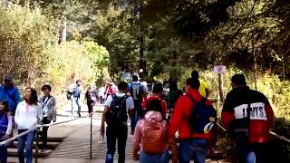 Caminando en el santuario a la Mariposa Monarca en Angangueo, Michoacan.