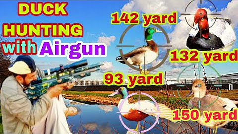 Duck hunting with airgun 1 december 2022
