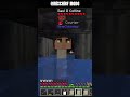 Soulwell [Minecraft] - Bridges are for going over, not under #minecraft #minecraftshorts #shorts