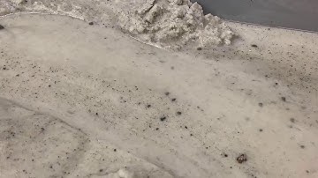 GEOS_201-Stream Sediment Load: suspended and bed