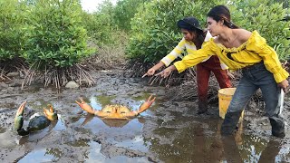 Brave Women Catch Huge Mud Crabs In Muddy after Water Low Tide