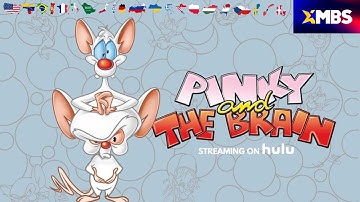 Pinky And The Brain | Intro Multilanguage