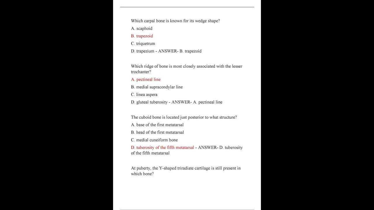 NBCE PART 1 GENERAL ANATOMY EXAM LATEST 2025 ACTUAL EXAM 200 QUESTIONS