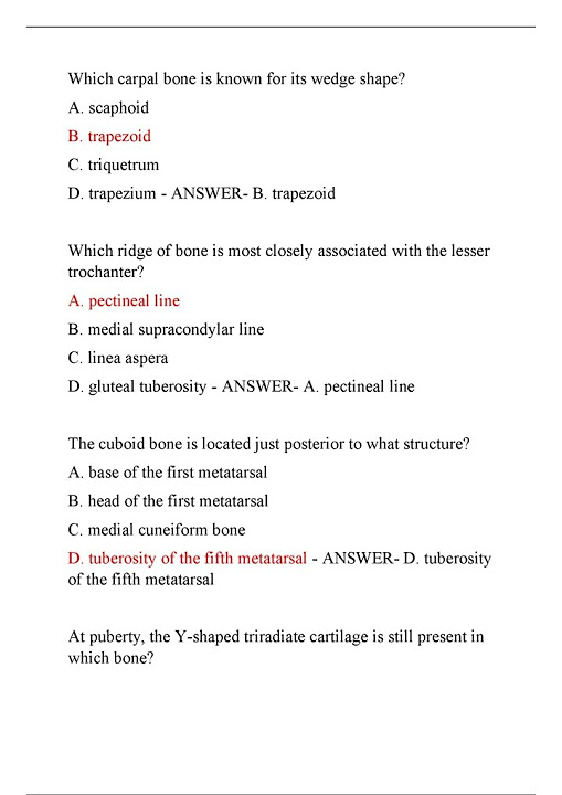 nbce-part-1-general-anatomy-exam-latest-2024-actual-exam-200-questions