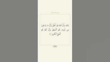 قرآن سورة الحج ٦٢ - ٦٤