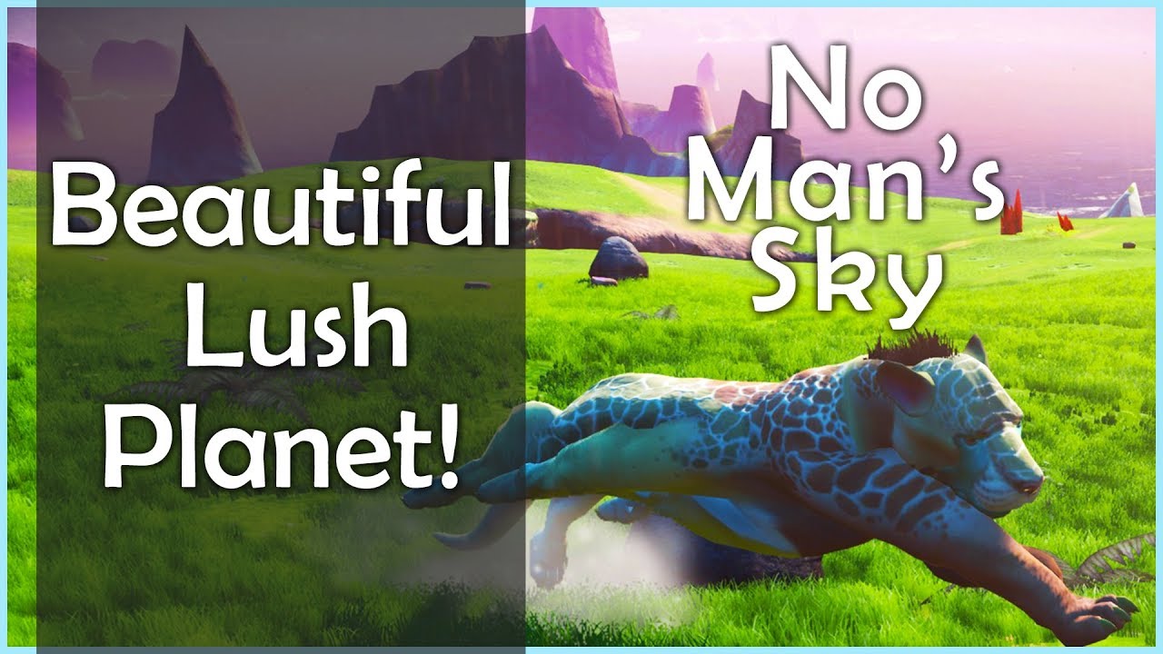NO MAN'S SKY: Beautiful Lush Planet | A FREE Ship!? (#5) - YouTube