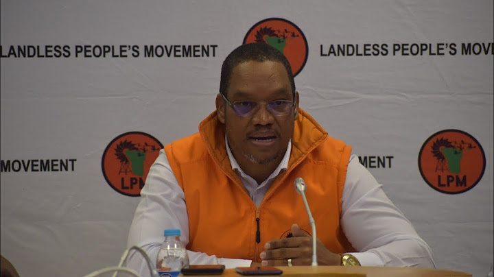 Namibian opposition leader Swartbooi blasts Mnangagwa, SADC over Zimbabwe elections fraud | NewsHour