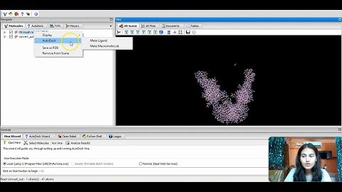 Molecular Docking using PyRx Virtual Screening tool