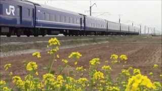 9021レ臨時寝台特急あけぼのEF81-137 奥羽本線