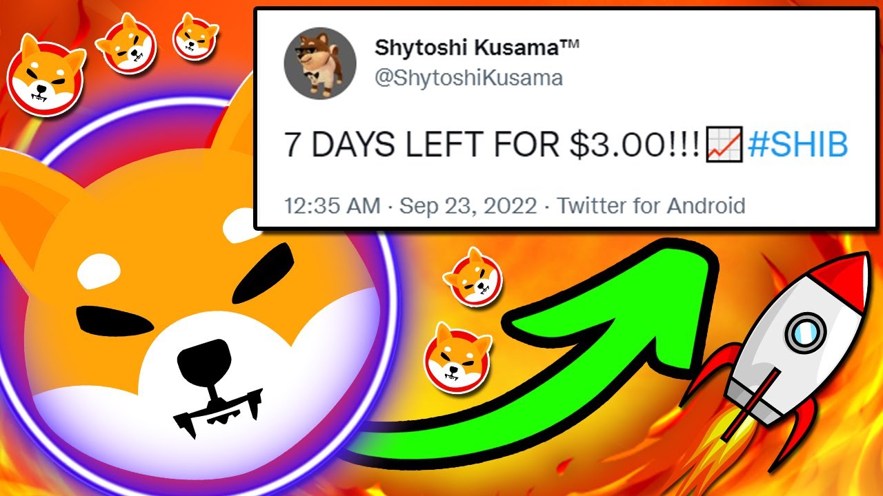 SHYTOSHI REVEALED A 7 DAY PLAN FOR SHIBA INU TO HIT 3 00 SHIB NEWS 