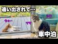 家を追い出されて車中泊… GWはどこにも行けずに来客の接待をしていました。|キャンピングカーのようにDIYしたハイエースで車中泊